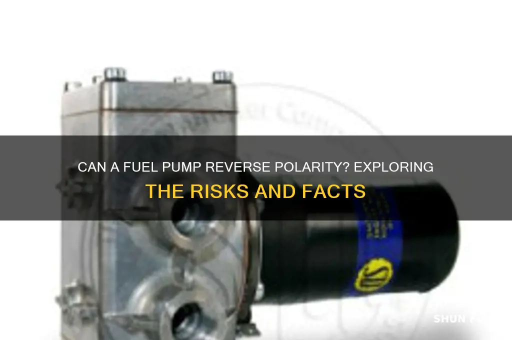 can a fuel pump reverse polarity
