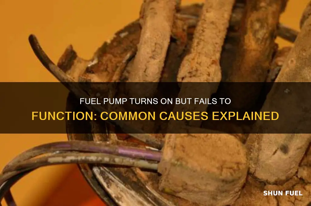 can a fuel pump turn on but not work