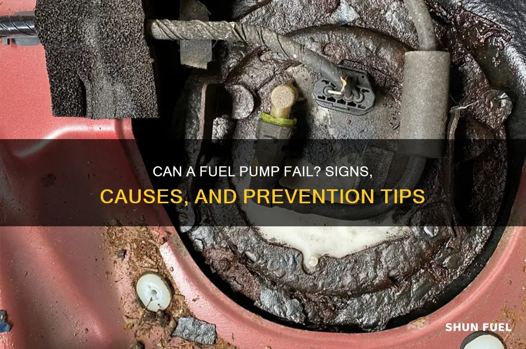 can a fuel pump