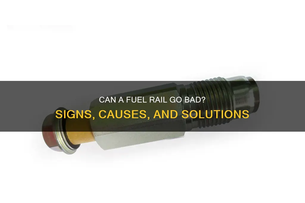 can a fuel rail go bad