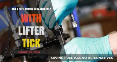Fuel System Cleaning: Effective Solution for Lifter Tick Noise?