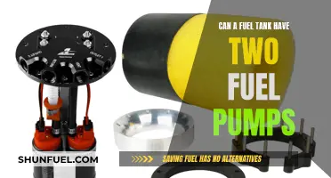 Dual Fuel Pumps: Are They Possible in One Fuel Tank?