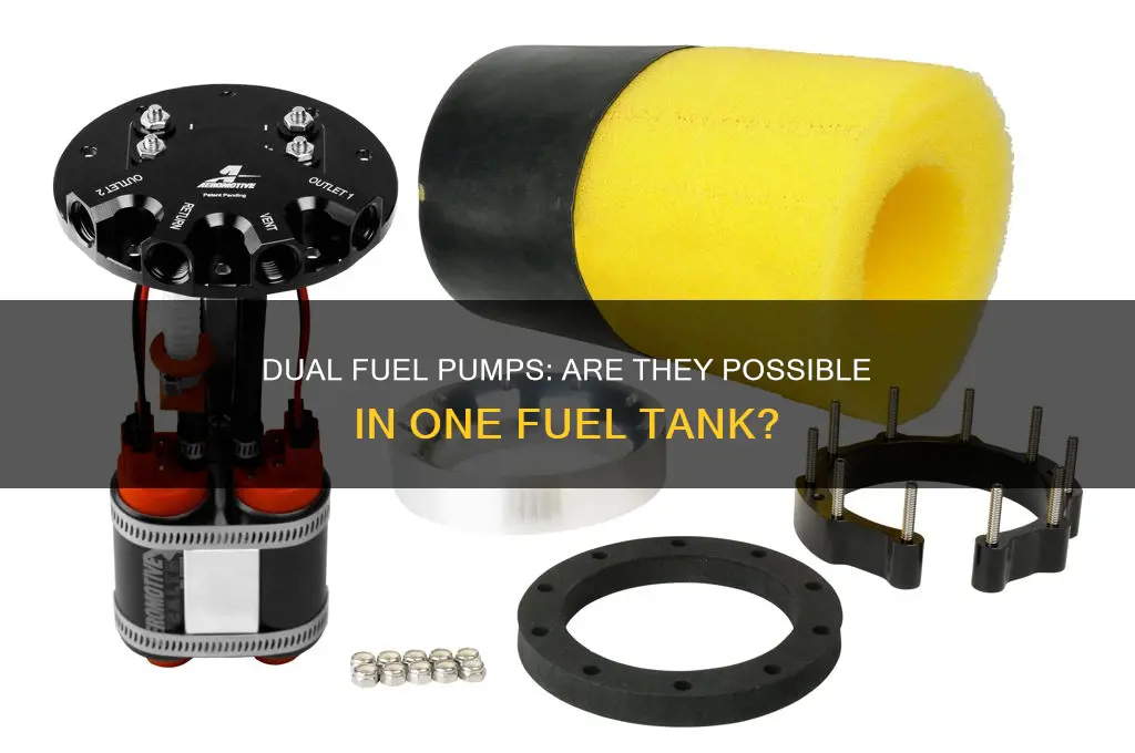 can a fuel tank have two fuel pumps