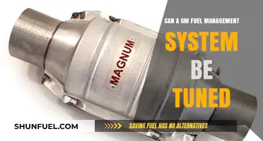 Tuning GM Fuel Management Systems: Possibilities, Benefits, and Performance Upgrades