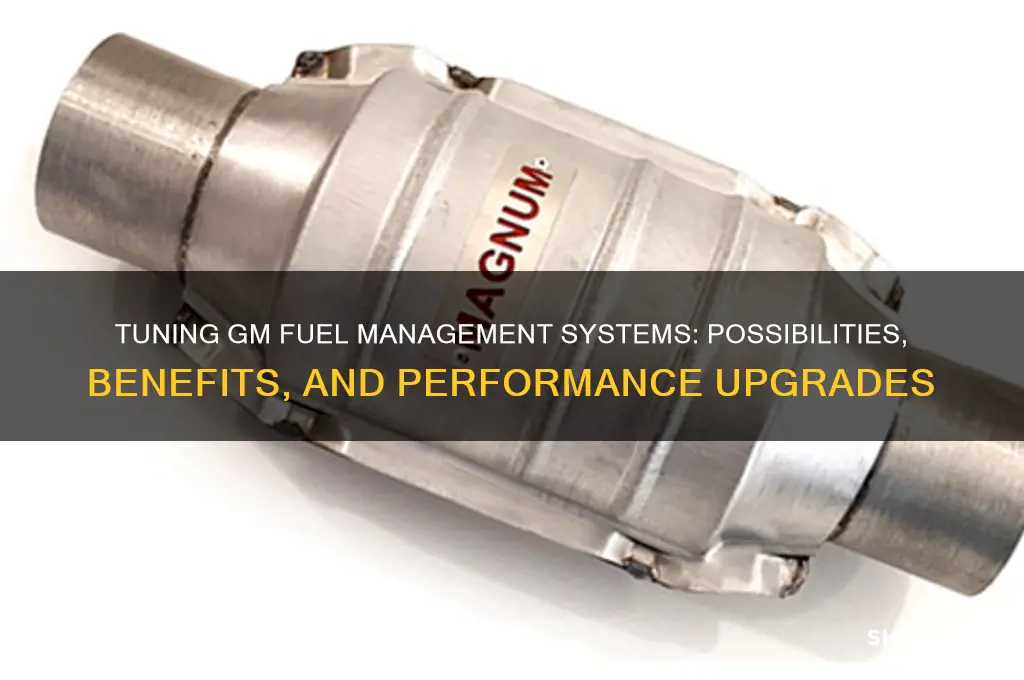 can a gm fuel management system be tuned