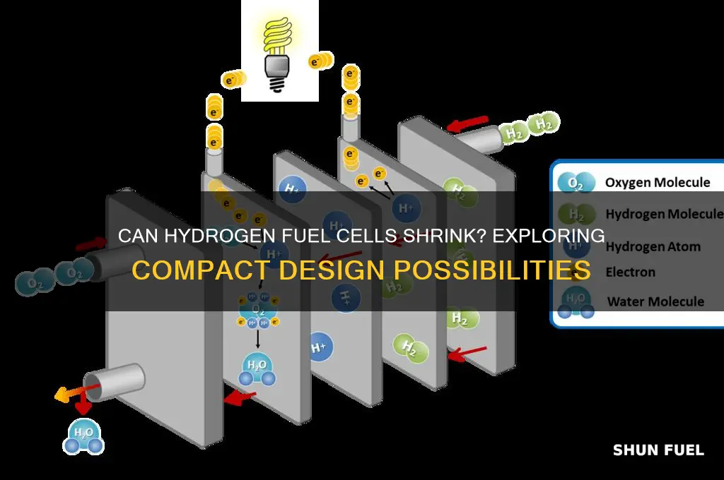 can a hydrogen fuel cell be made small