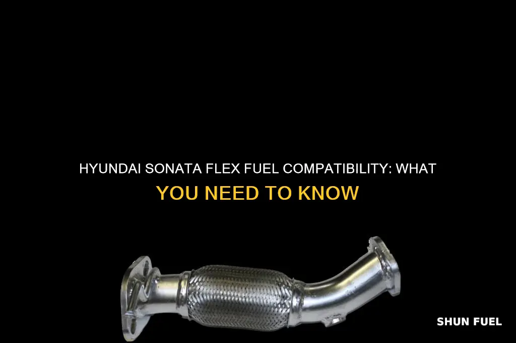 can a hyundai sonata take flex fuel