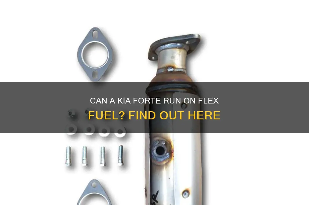 can a kia forte use flex fuel