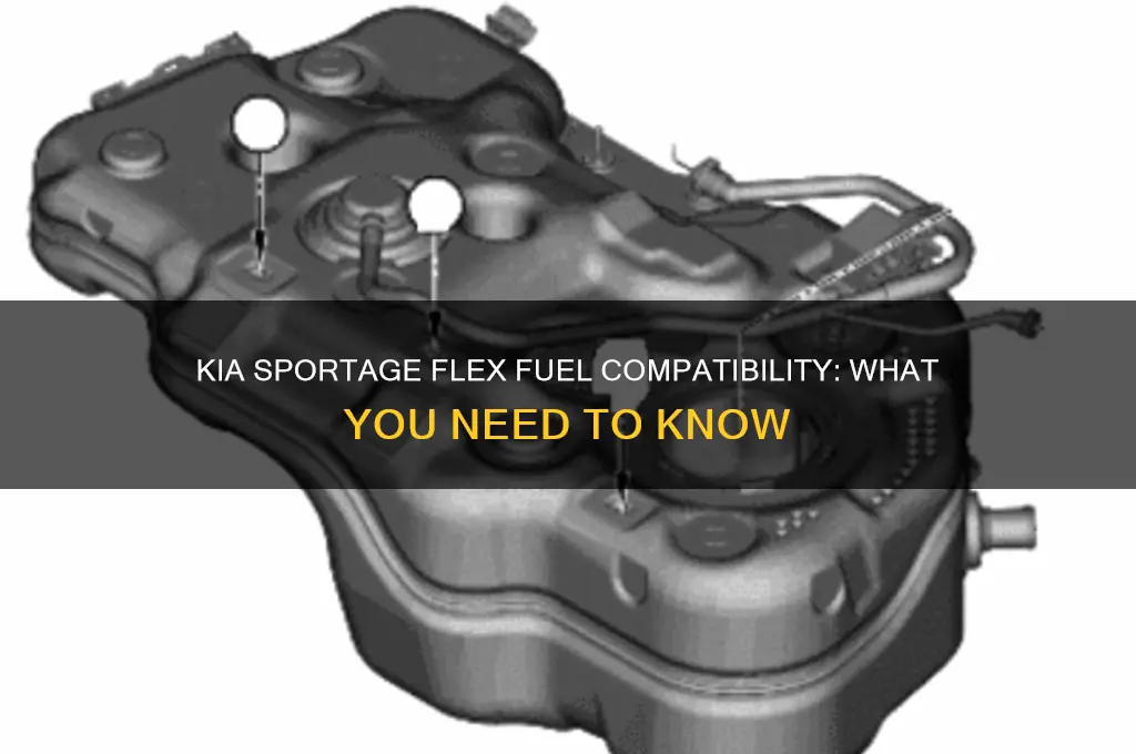 can a kia sportage run on flex fuel