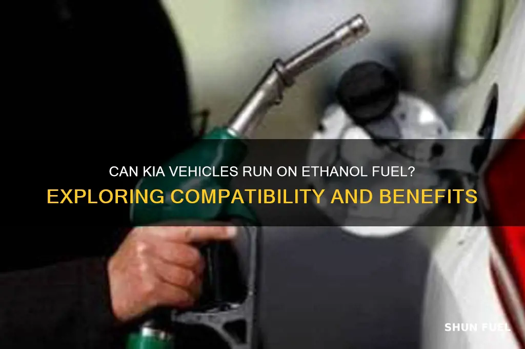 can a kia use erhanol fuel