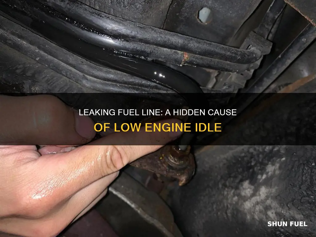 can a leaking fuel line cause low idle