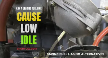 Fuel Line Leaks: Low Idle and Potential Dangers