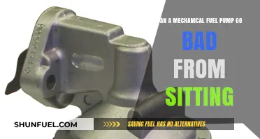 Can Mechanical Fuel Pumps Fail After Prolonged Storage Periods?
