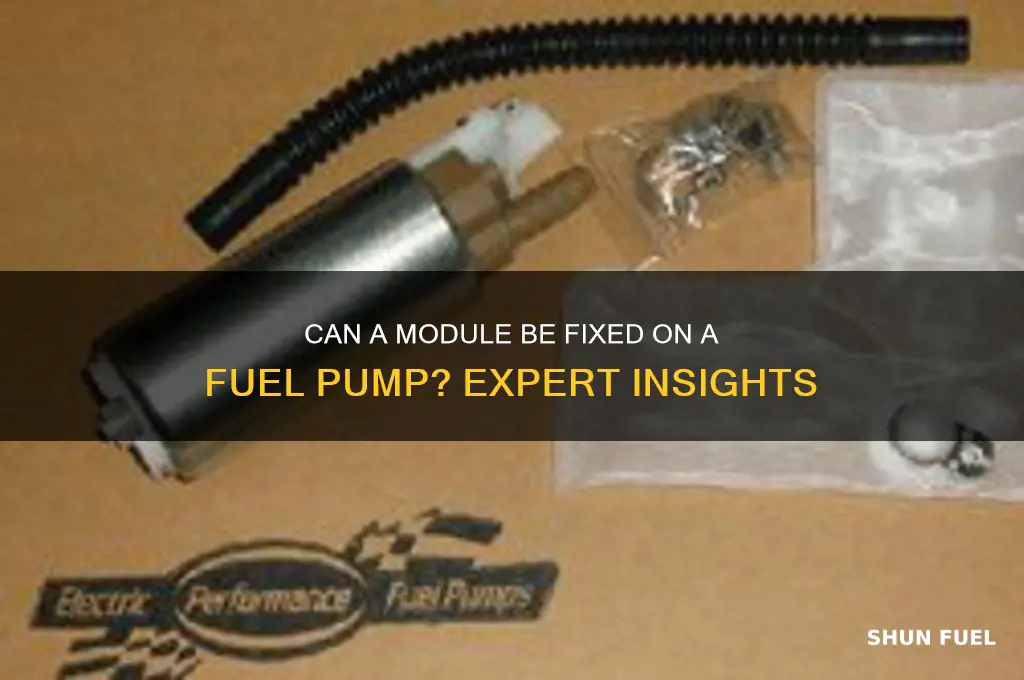 can a module be fix on a fuel pump