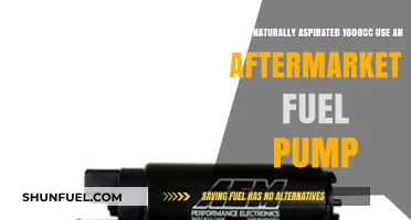 Can a Naturally Aspirated 1600cc Engine Benefit from an Aftermarket Fuel Pump?