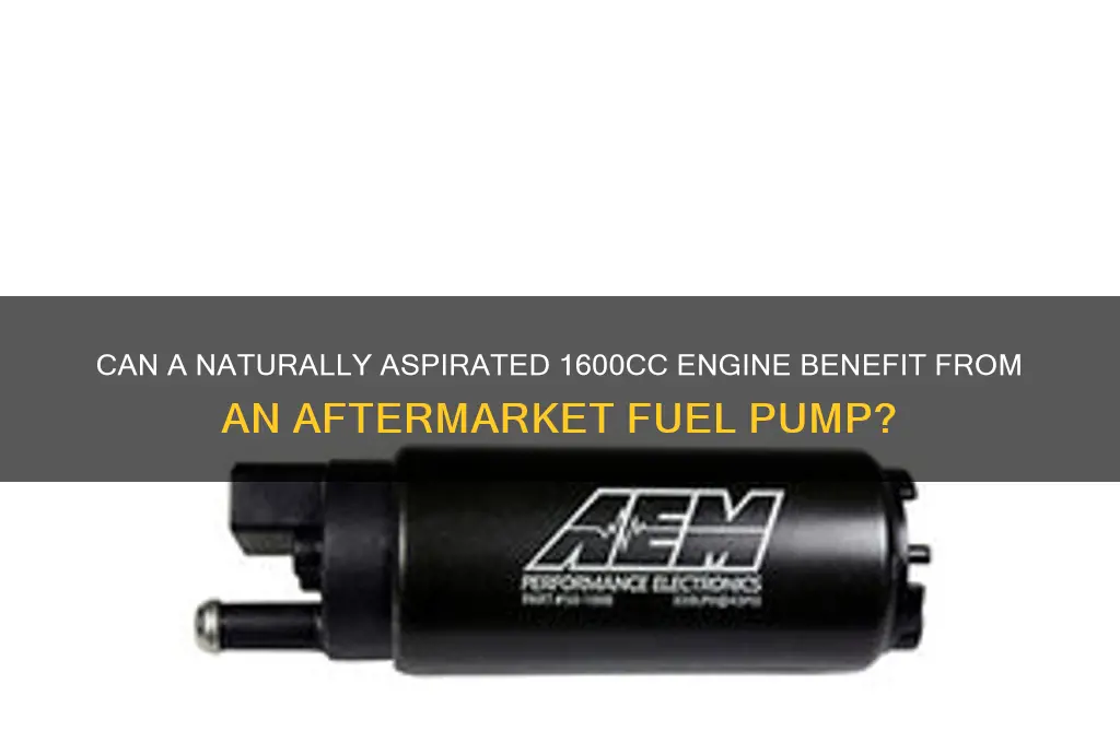 can a naturally aspirated 1600cc use an aftermarket fuel pump