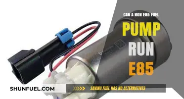 Can Standard Fuel Pumps Handle E85? Compatibility Explained