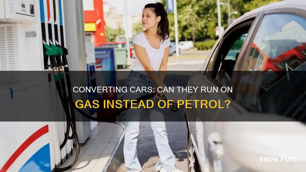 can a petroleum fuel car take gas