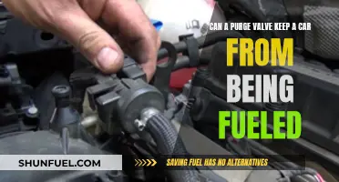 Can a Purge Valve Prevent Fueling in Cars?