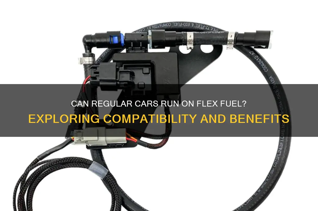 can a regular car use flex fuel