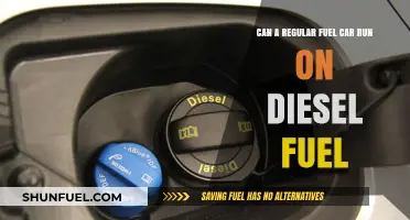 Diesel in Regular Cars: Is it Possible?