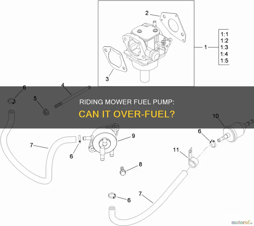 can a riding mower fuel pump pump too much gas