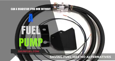 Roadstar 1700 Fuel Pump: Can It Run Without One?