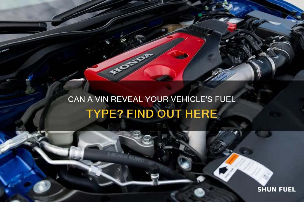 can a vin tell you fuel type