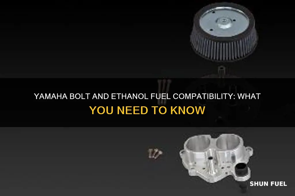 can a yamaha bolt use ethanol fuel