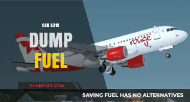 Can the Airbus A319 Dump Fuel? Exploring Its Capabilities