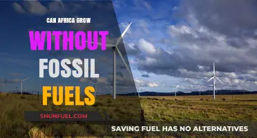 Africa's Fossil-Free Future: Energy Independence and Growth