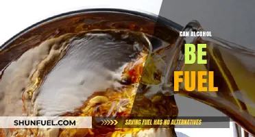 Exploring Alcohol as an Alternative Fuel Source: Pros and Cons