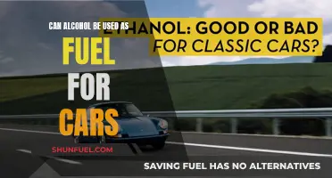 Alcohol as Car Fuel: A Sustainable Energy Source?