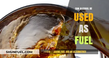 Exploring Alcohol as an Alternative Fuel Source: Pros and Cons