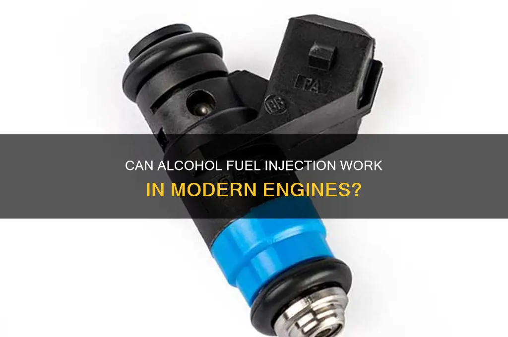 can alcohol be used in fuel injected motors