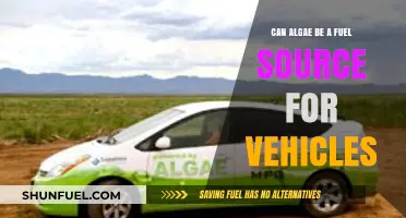 Algae as Green Fuel: Powering Vehicles Sustainably?