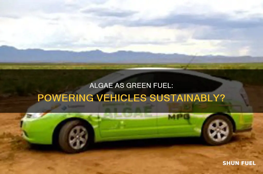 can algae be a fuel source for vehicles