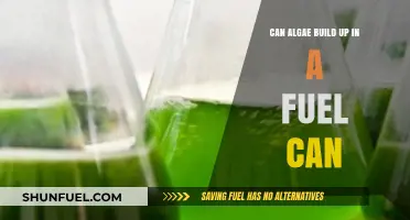 Algae Growth in Fuel Cans: Causes, Risks, and Prevention Tips