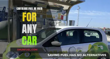 Algae Fuel: The Green Alternative for All Cars?