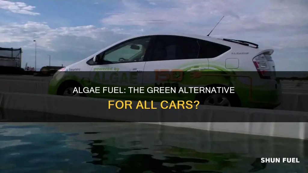 can algae fuel be used for any car