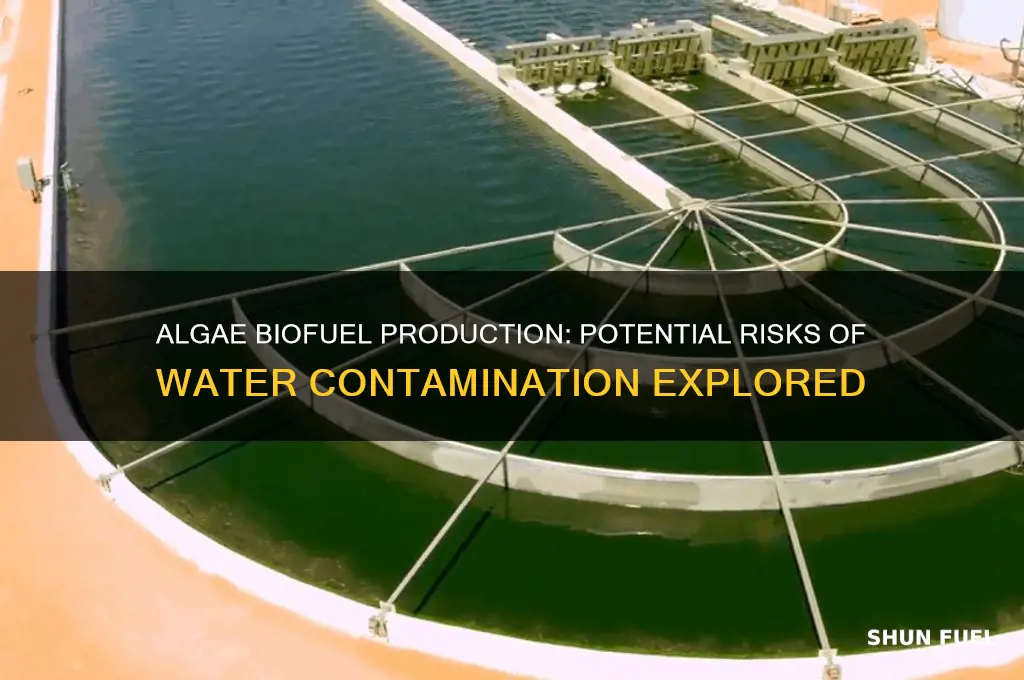 can algae fuel cause water contamination