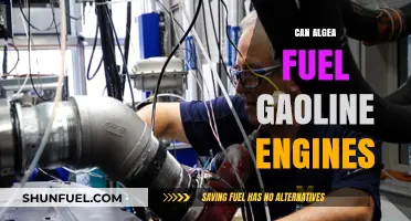 Algae as Fuel: Powering Gasoline Engines Sustainably?