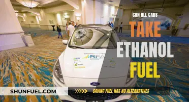 Ethanol Fuel: Compatibility Across Car Models Explained