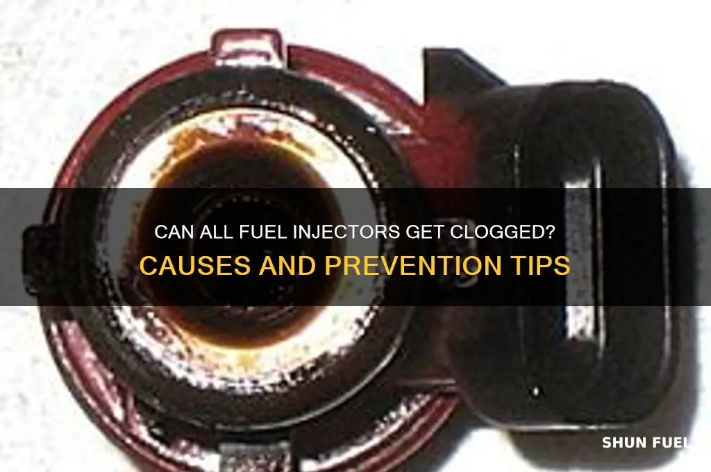 can all fuel inject get clogged