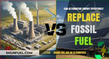 Alternative Energy: A Viable Fossil Fuel Replacement?