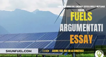 Alternative Energy: Fossil Fuels' Replacement?