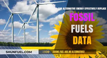 Alternative Energy: The Future's Answer to Fossil Fuel Dominance?