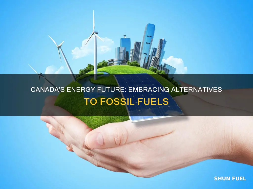 can alternative energy replace fossil fuels in canada