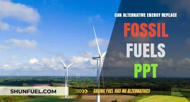 The Future of Energy: Can Renewables Replace Fossil Fuels?