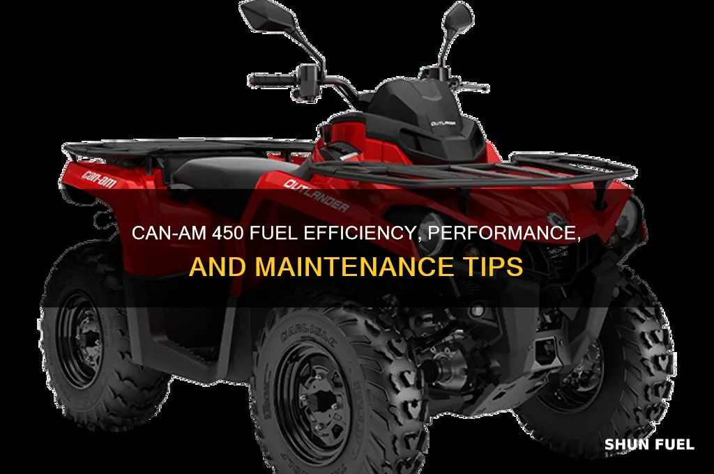 can am 450 fuel